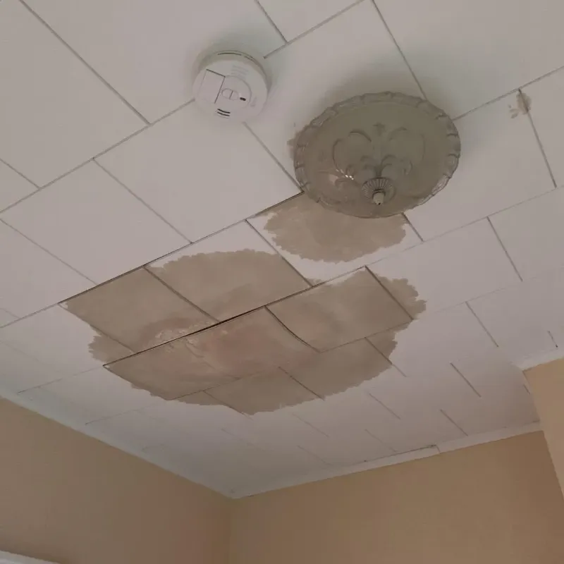 Ceiling Water Damage Repair in Surry, VA