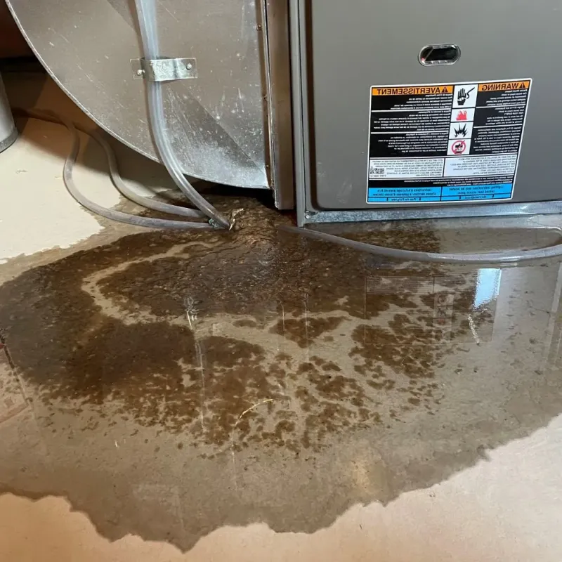 Pipe Burst and Leak Restoration in Surry, VA