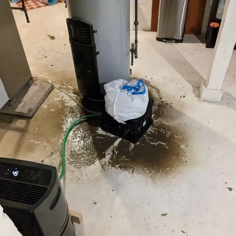 Sewage Backup Cleanup Service in Surry, VA